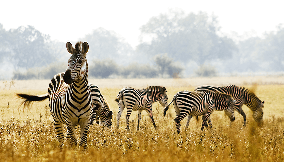Serengeti National Park