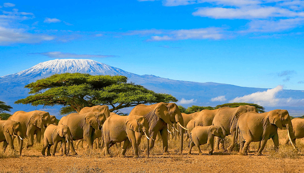 Serengeti National Park