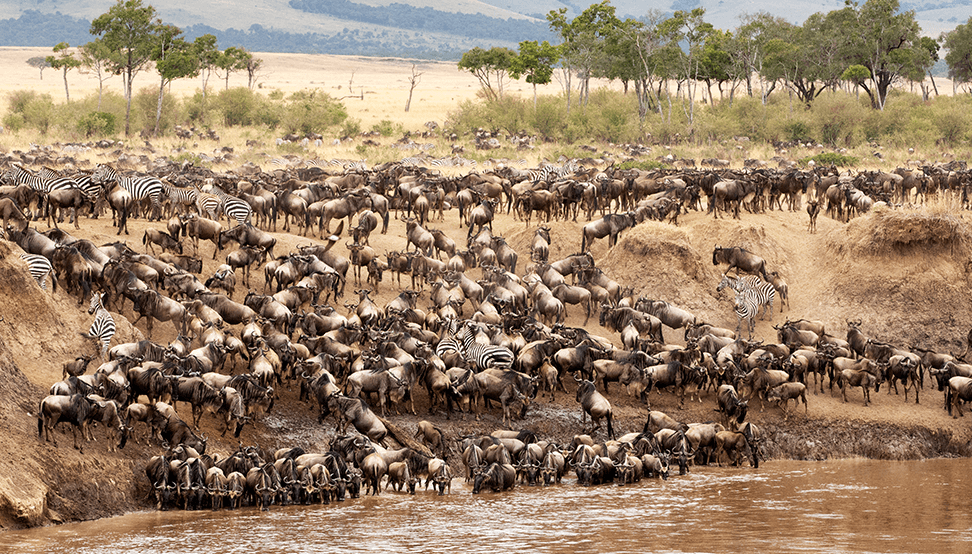 Great Migration