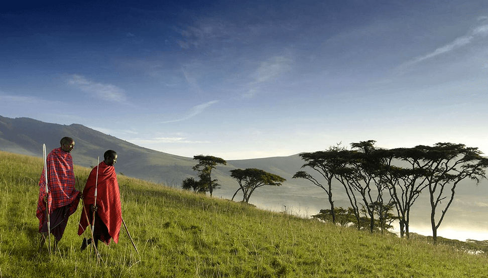 Ngorongoro