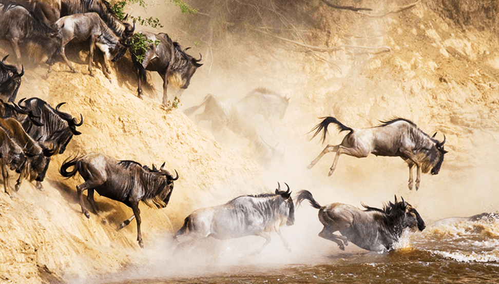 The Great Migration
