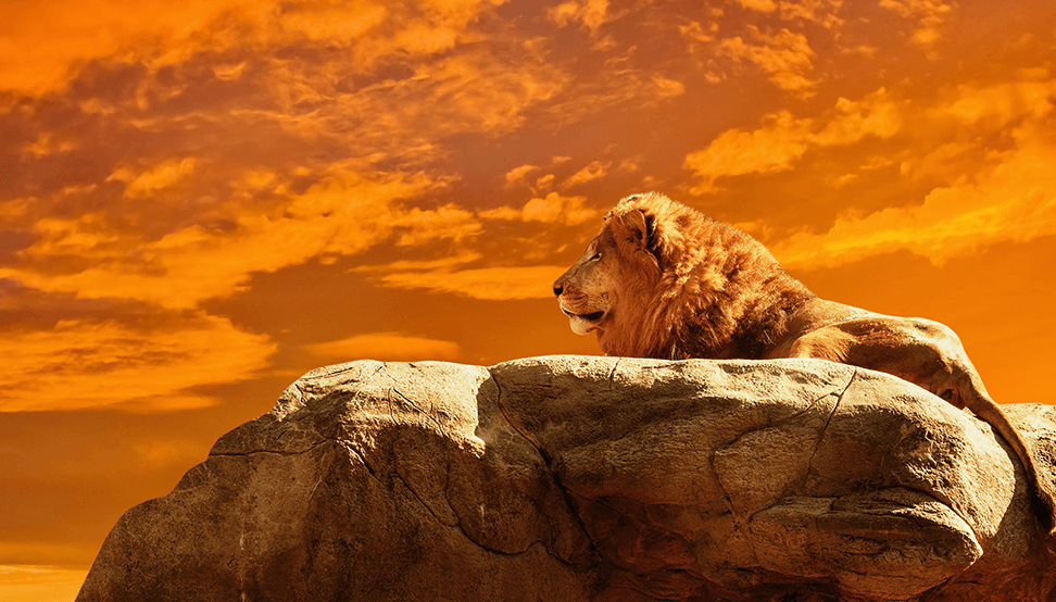 Hakuna Matata