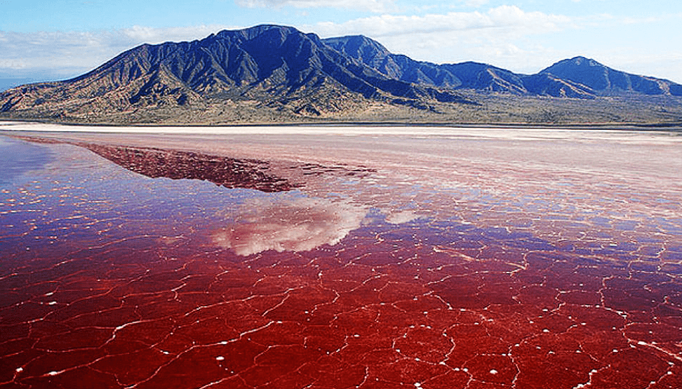 Lake Natron